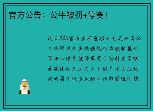 官方公告：公牛被罚+停赛！